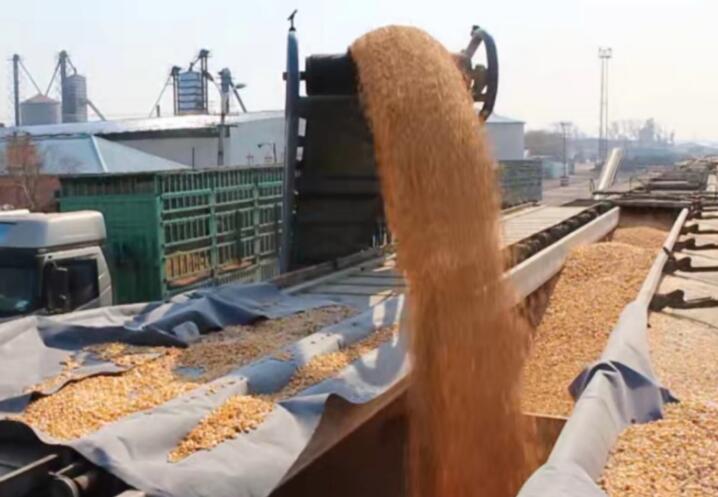 糧食物(wù)流指的(de)是(shì)什(shén)麽？它們的(de)營運發展狀況如(rú)何？